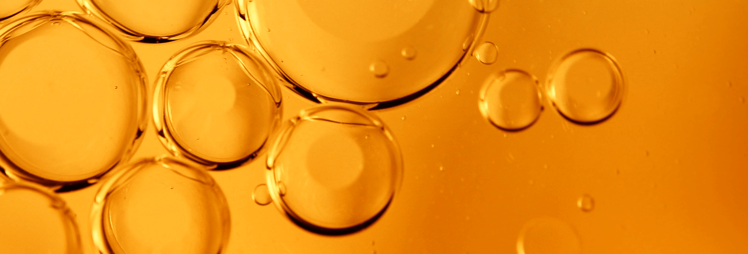 Blackcurrant Seed Oil