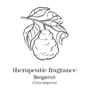 ITPS FRAGRANCE BERGAMOT