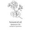 PB SUPER BLEND ILLUSTRATIONSBO GERANIUM OIL PBSW