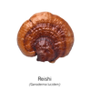 REISHI