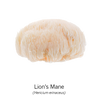 lionsmane