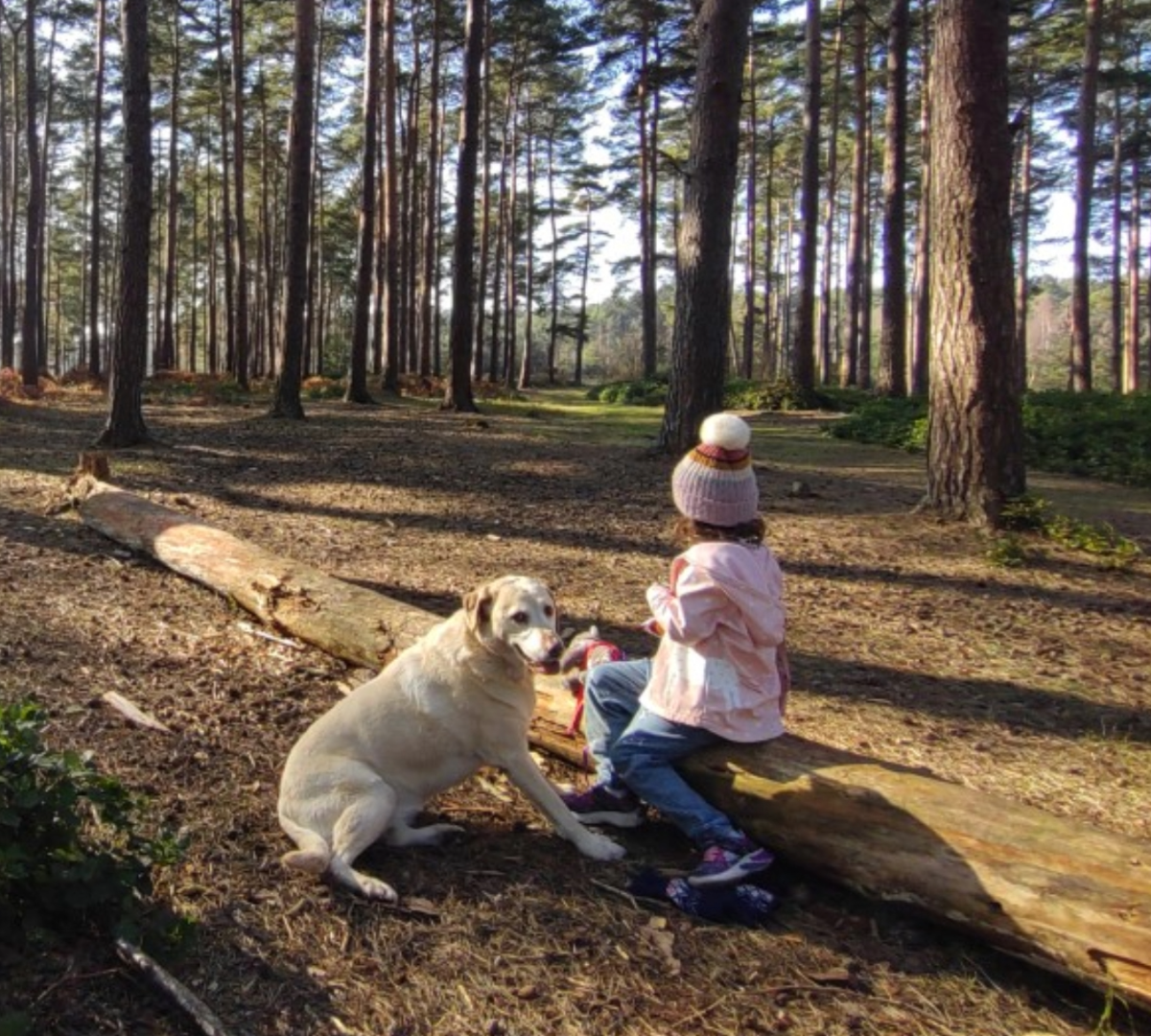 the importance of the outdoors