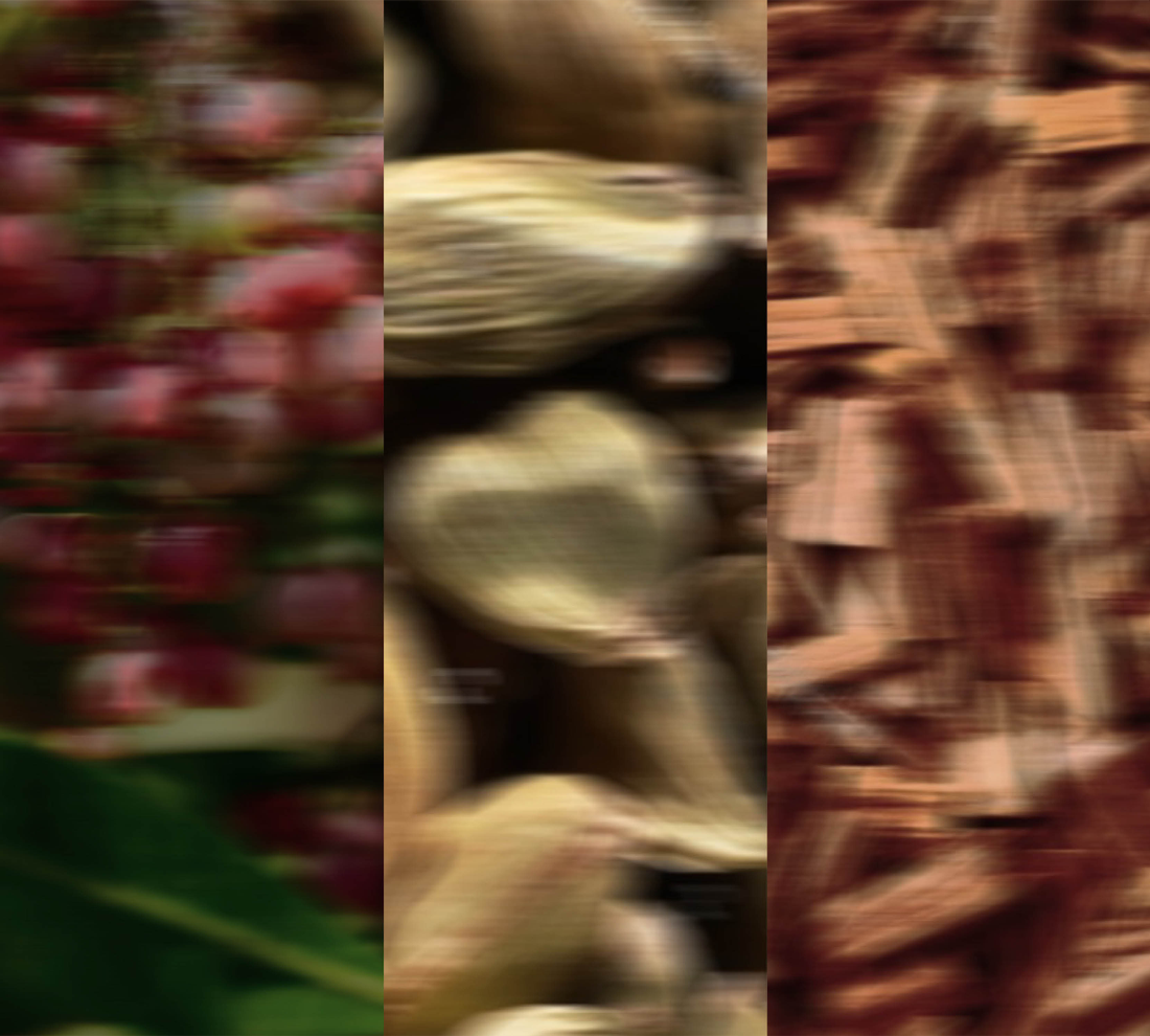 Functional Fragrance: can scent actually change how you feel?