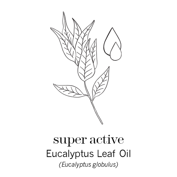 In The Zone Body Lotion Body Cream This Works