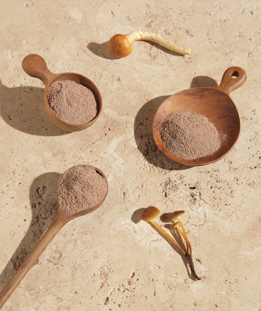 GOODMIND™ Functional Mushroom Sachets